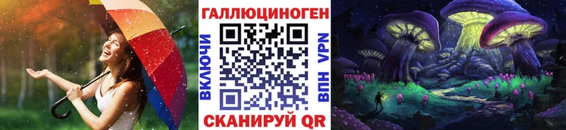 Псилоцибиновые грибы Psilocybine cubensis  Алексеевка 