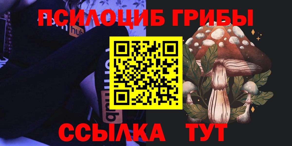 Псилоцибиновые грибы Cubensis  Вход с VPN  Алексеевка  Псилоцибиновые грибы мухоморы 