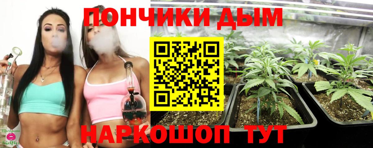 Бошки марихуана индика Алексеевка